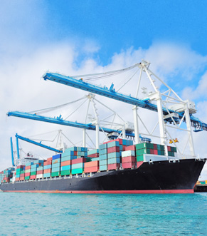 J9���λ�ʵҵ